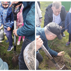 Zakończenie projektu - sadzimy jabłonkę