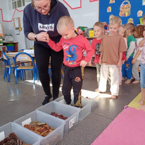 Na ścieżce sensorycznej - Niedźwiadki 