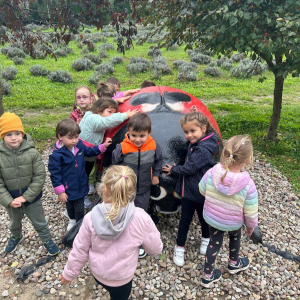 to Ci owady - Niedźwiadki 