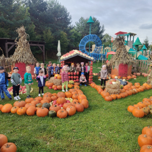 Niedźwiadki w dyniowym miasteczku 