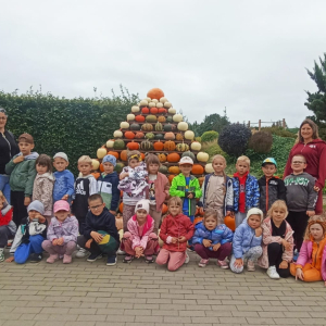 przy dyniowej piramidzie - Sówki