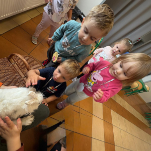 Dzieci głaskały mięciutką sierść królika
