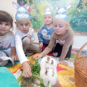 dbamy o króliczka 