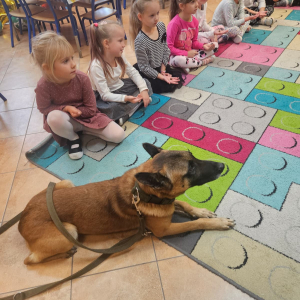 gość specjalny - Aro 