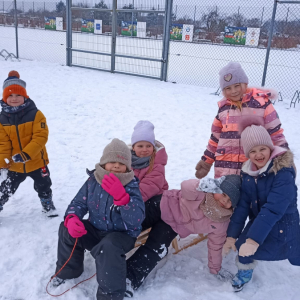 Śnieżna ekipa - Sówki i Niedźwiadki