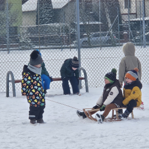 czy ja dam radę - Niedźwiadki