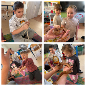 Przedszkolaki oglądają skórę węża 