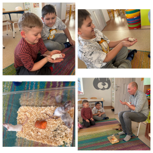 Przedszkolaki z białymi myszkami 