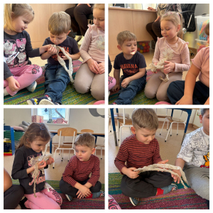 Wąchają i sprawdzają jaka jest w dotyku wylinka węża 