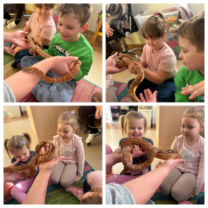 Chętne dzieci trzymają węża na ręce 