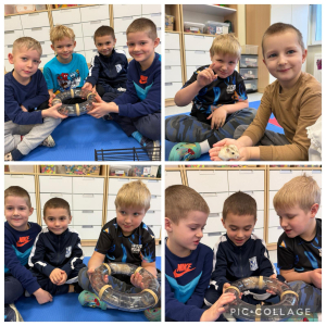 Radość i ciekawość podczas poznawania małych zwierząt- grupa „Wiewiórki”