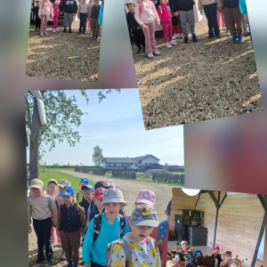 Dzień pełen przygód